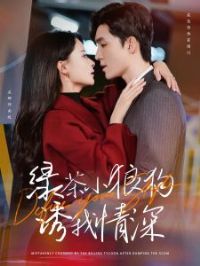 �̲�С�ǹ���������