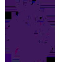 Ӣ�� �����ظ���vsŦ��˹����20251109