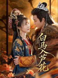 ������«��